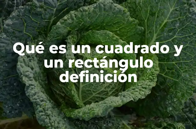 Qué es un Cuadrado y un Rectángulo Definición 2 Cuadrados y rectángulos en la geometría euclidiana