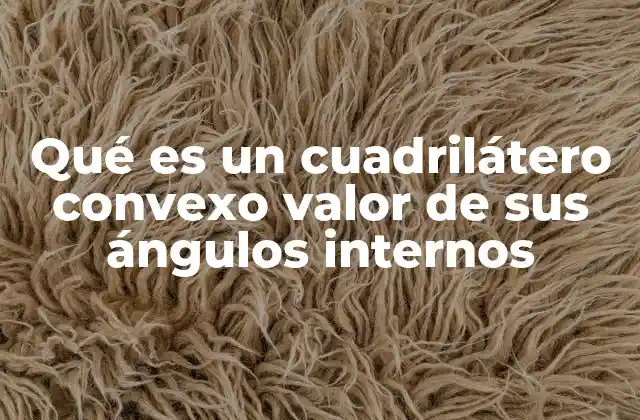 Qué es un Cuadrilátero Convexo Valor de Sus Ángulos Internos
