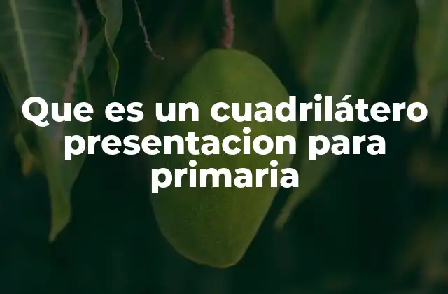 Que es un Cuadrilátero Presentacion para Primaria