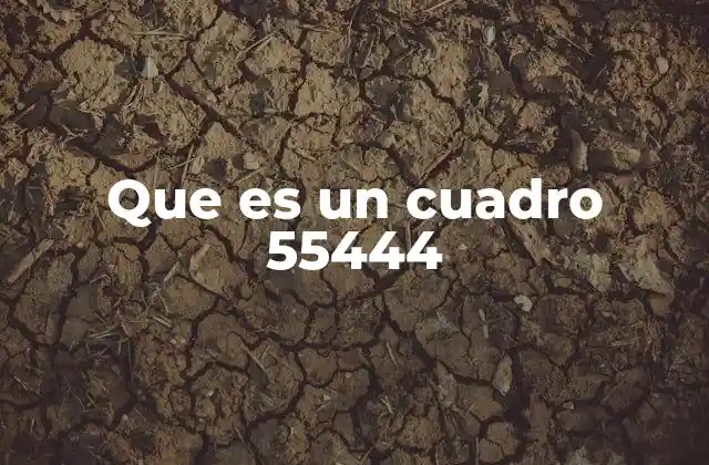 Que es un Cuadro 55444