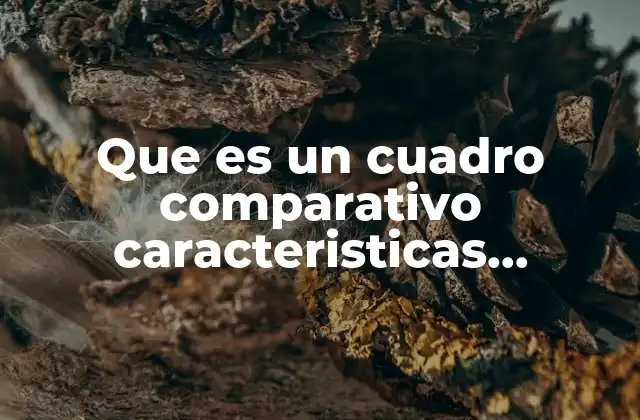 Que es un Cuadro Comparativo Caracteristicas Sexuales y Secundarios