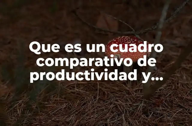 Que es un Cuadro Comparativo de Productividad y Eficiencia