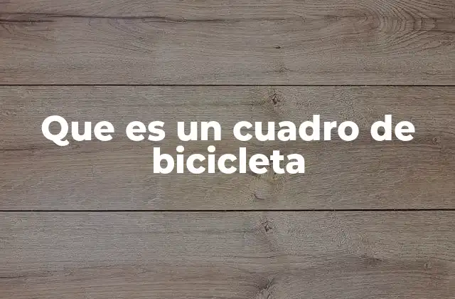 Que es un Cuadro de Bicicleta