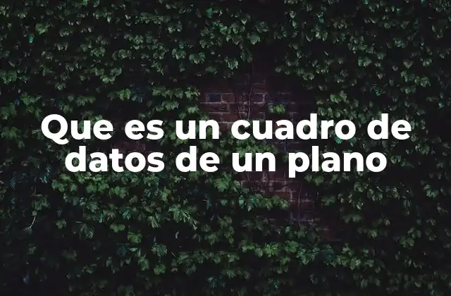Que es un Cuadro de Datos de un Plano