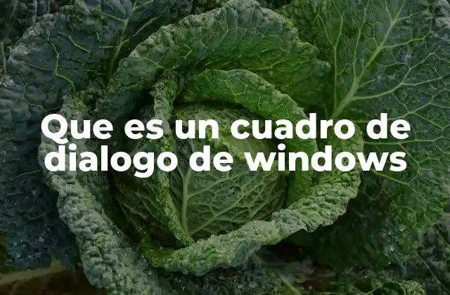Que es un Cuadro de Dialogo de Windows