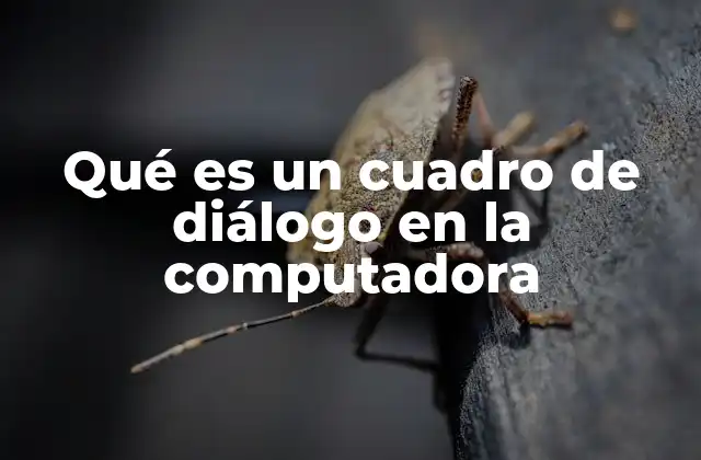 Qué es un Cuadro de Diálogo en la Computadora
