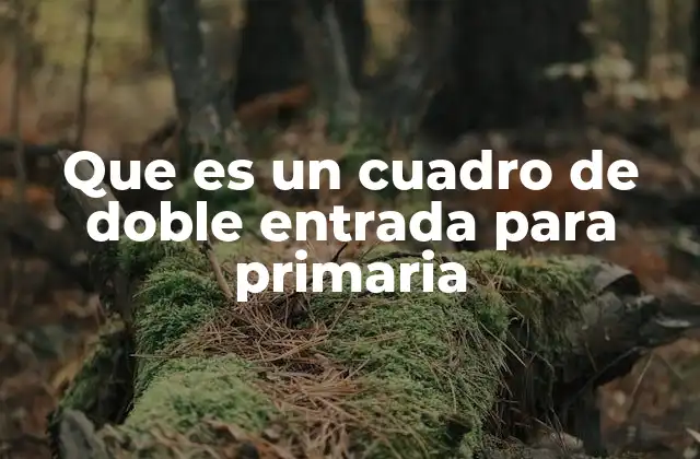 Que es un Cuadro de Doble Entrada para Primaria 2 La importancia de las herramientas visuales en la educación primaria