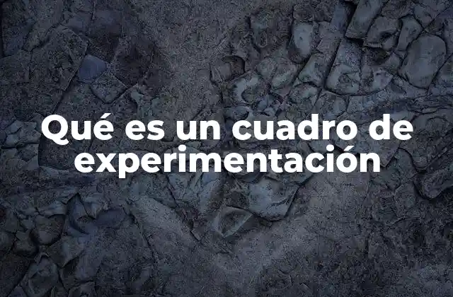 Qué es un Cuadro de Experimentación
