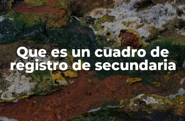 Que es un Cuadro de Registro de Secundaria