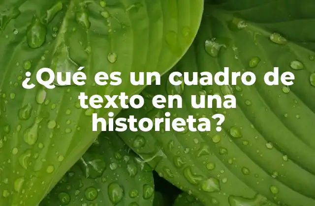 ¿qué es un Cuadro de Texto en una Historieta?