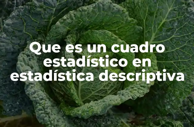 Que es un Cuadro Estadístico en Estadística Descriptiva