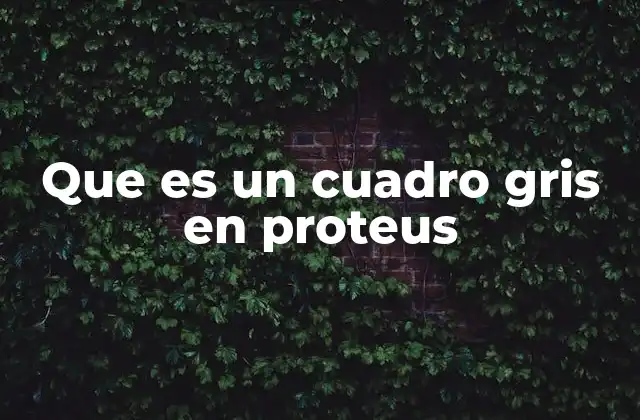 Que es un Cuadro Gris en Proteus