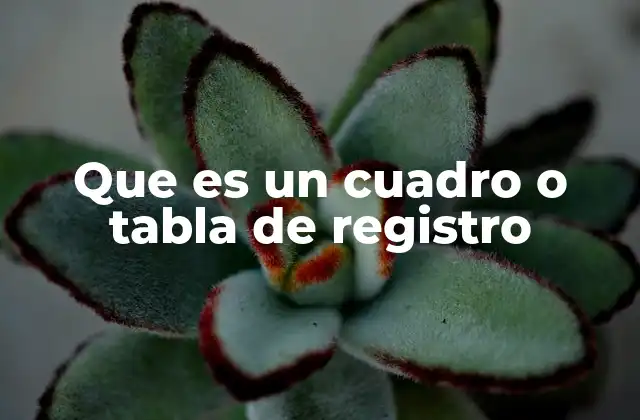 Que es un Cuadro o Tabla de Registro