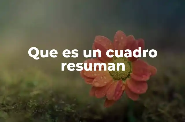 Que es un Cuadro Resuman