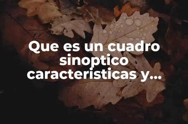 Que es un Cuadro Sinoptico Caracteristicas y Ejemplo