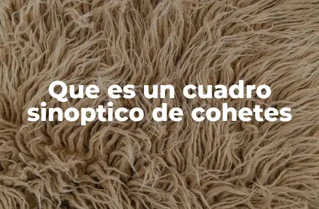 Que es un Cuadro Sinoptico de Cohetes