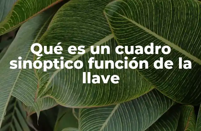 Qué es un Cuadro Sinóptico Función de la Llave 2 El cuadro sinóptico como herramienta de síntesis