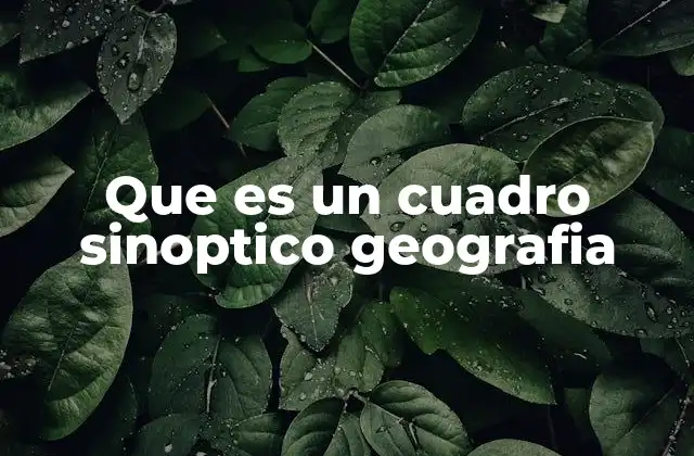 Que es un Cuadro Sinoptico Geografia