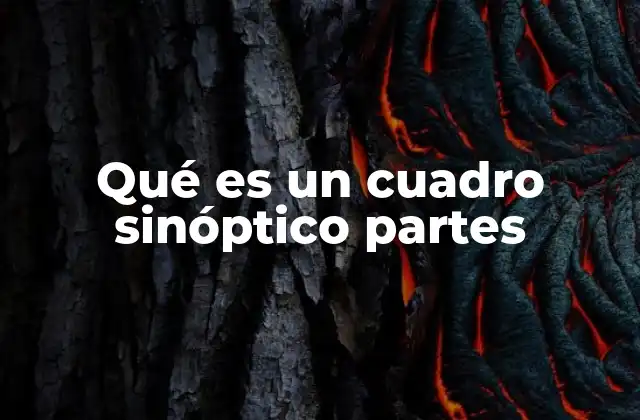 Qué es un Cuadro Sinóptico Partes