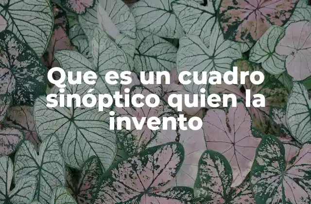 Que es un Cuadro Sinóptico Quien la Invento