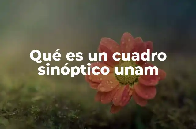 Qué es un Cuadro Sinóptico Unam