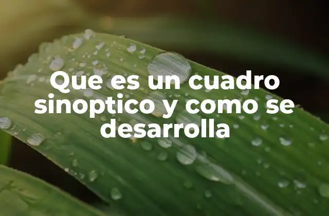 Que es un Cuadro Sinoptico y como Se Desarrolla