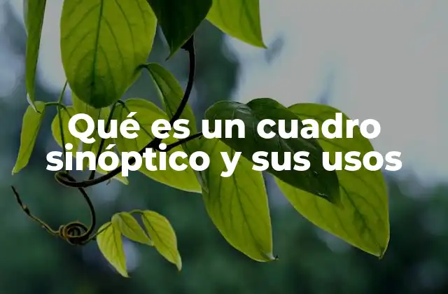 Qué es un Cuadro Sinóptico y Sus Usos