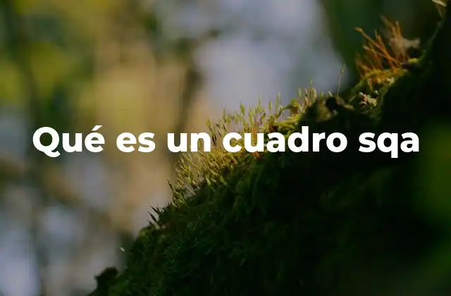 Qué es un Cuadro Sqa