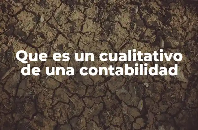 Que es un Cualitativo de una Contabilidad