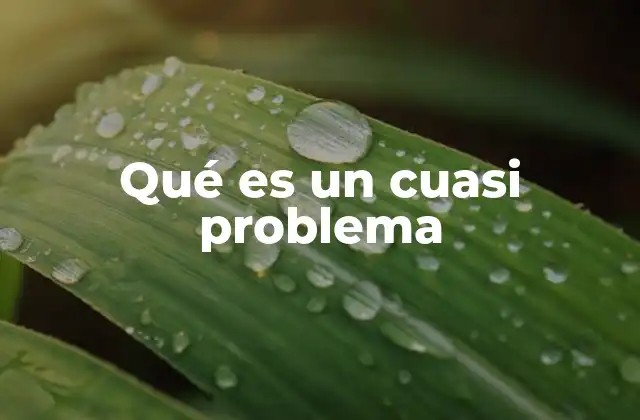 Qué es un Cuasi Problema
