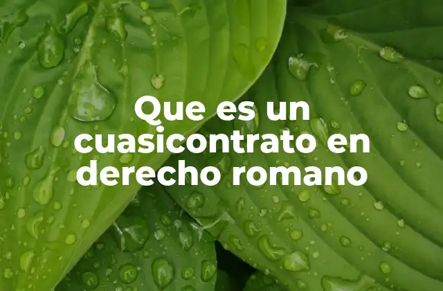 Que es un Cuasicontrato en Derecho Romano