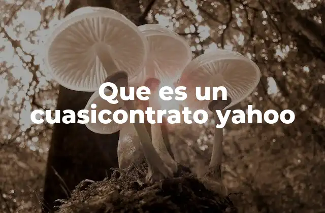 Que es un Cuasicontrato Yahoo