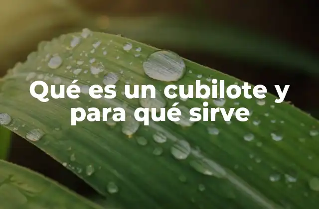 Qué es un Cubilote y para Qué Sirve