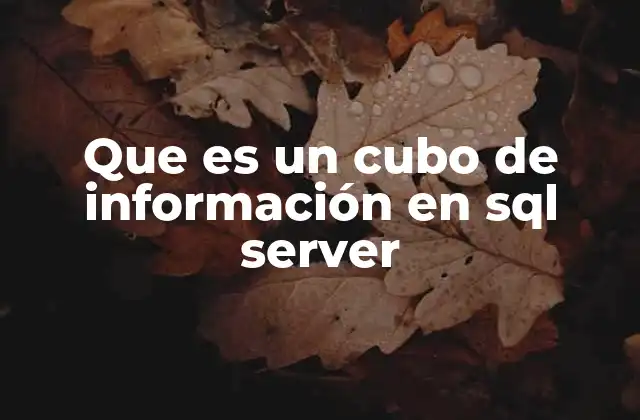 Que es un Cubo de Información en Sql Server