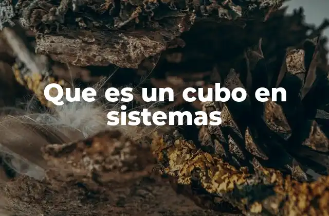 Aplicaciones de los cubos en sistemas de información