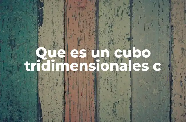 Características que definen al cubo tridimensional