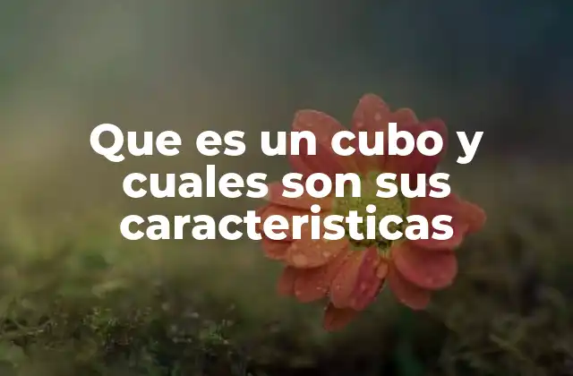 Que es un Cubo y Cuales Son Sus Caracteristicas