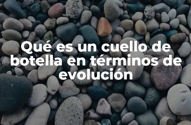 Qué es un Cuello de Botella en Términos de Evolución