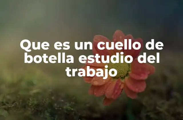 Identificación y análisis de cuellos de botella en procesos industriales