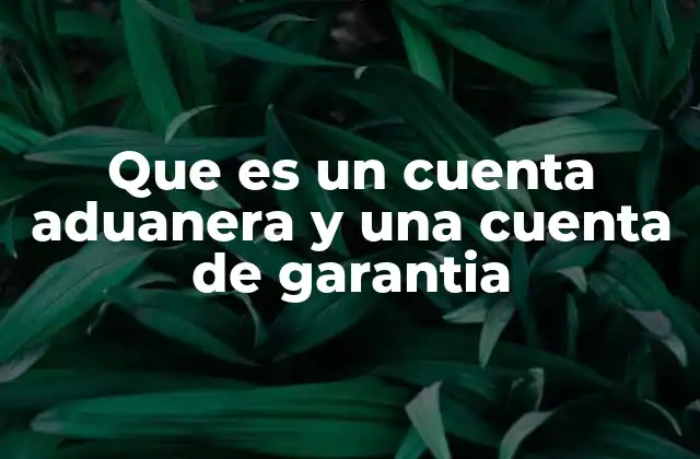 Que es un Cuenta Aduanera y una Cuenta de Garantia