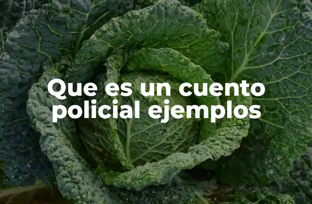 Que es un Cuento Policial Ejemplos 2 Características distintivas del cuento policial