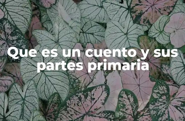 Que es un Cuento y Sus Partes Primaria