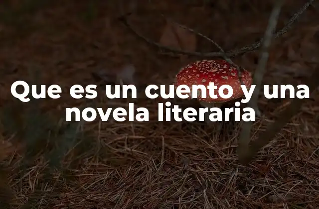 Que es un Cuento y una Novela Literaria