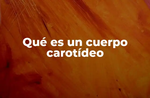 Qué es un Cuerpo Carotídeo