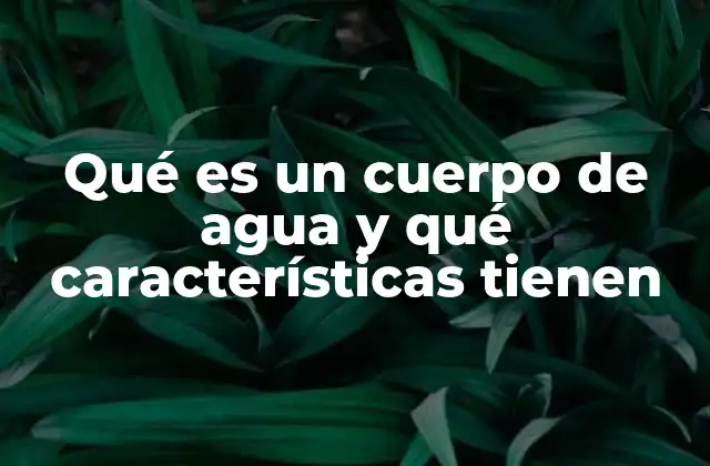 Qué es un Cuerpo de Agua y Qué Características Tienen 2 El papel de los cuerpos de agua en el entorno natural