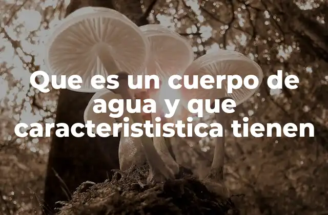 Que es un Cuerpo de Agua y que Caracterististica Tienen