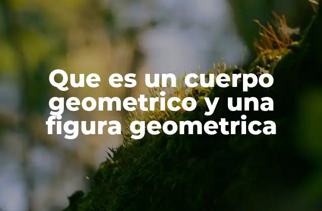 Que es un Cuerpo Geometrico y una Figura Geometrica