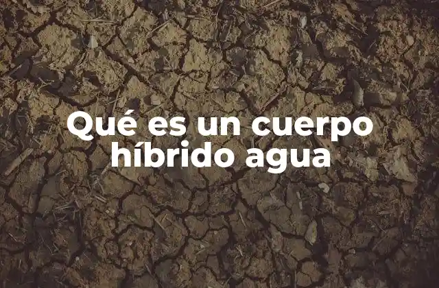 Qué es un Cuerpo Híbrido Agua