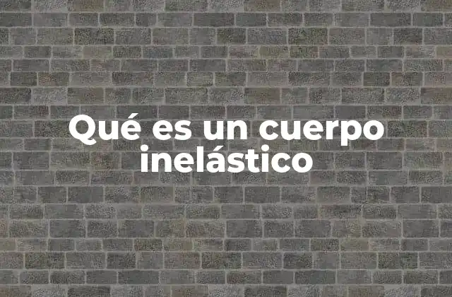 Qué es un Cuerpo Inelástico