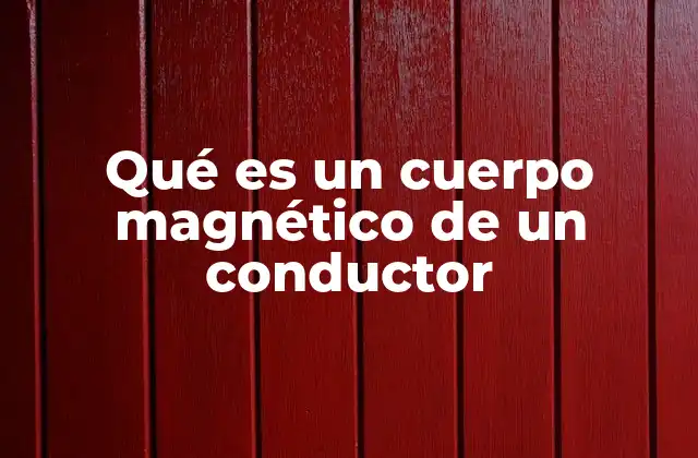 Qué es un Cuerpo Magnético de un Conductor